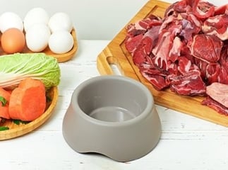 alimentation BARF pour le chat